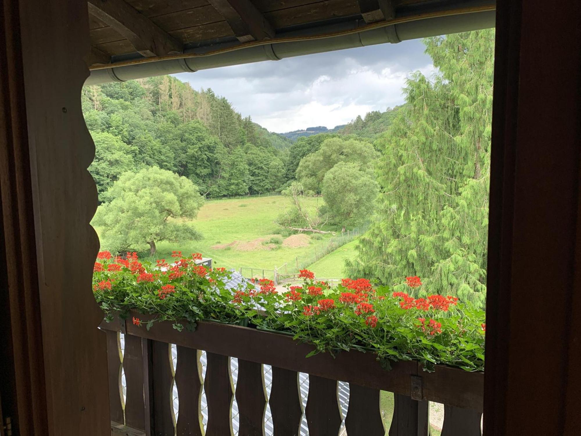 Hotel Forsthaus Volkesfeld Habitación foto